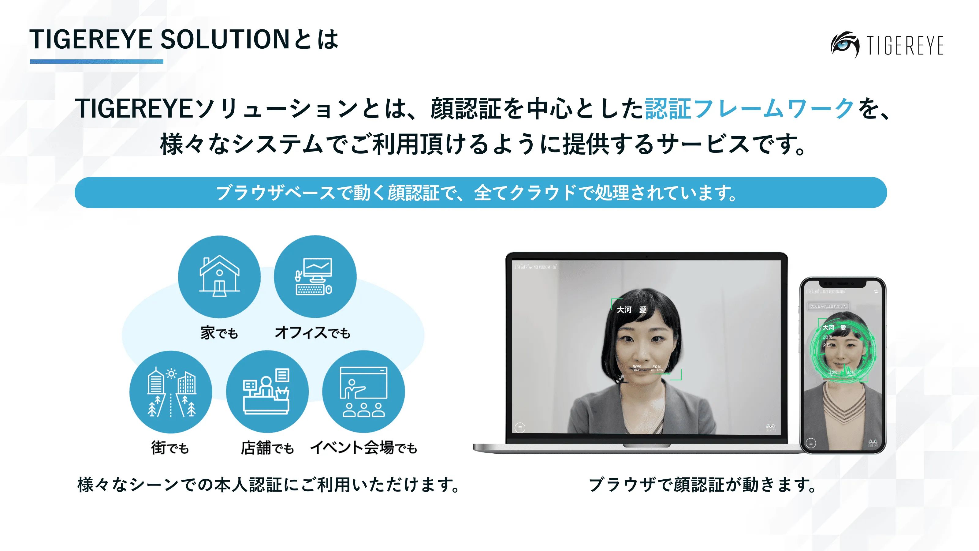 About TIGEREYE SOLUTION