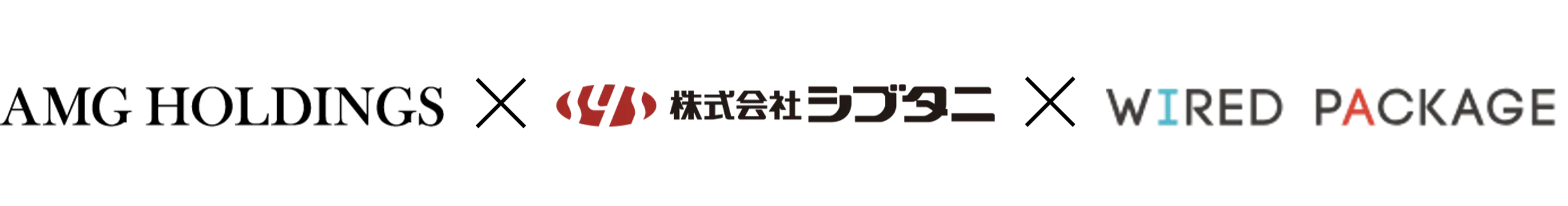 AMG Holdings, Shibutani, and Wired Package
