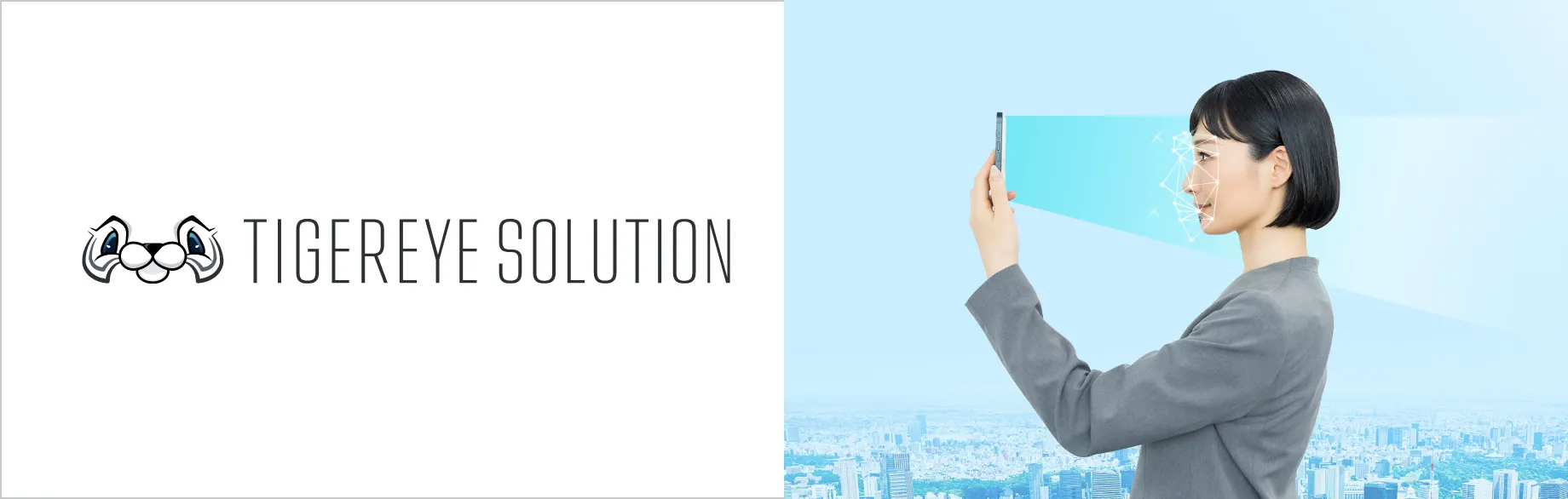 About TIGEREYE SOLUTION