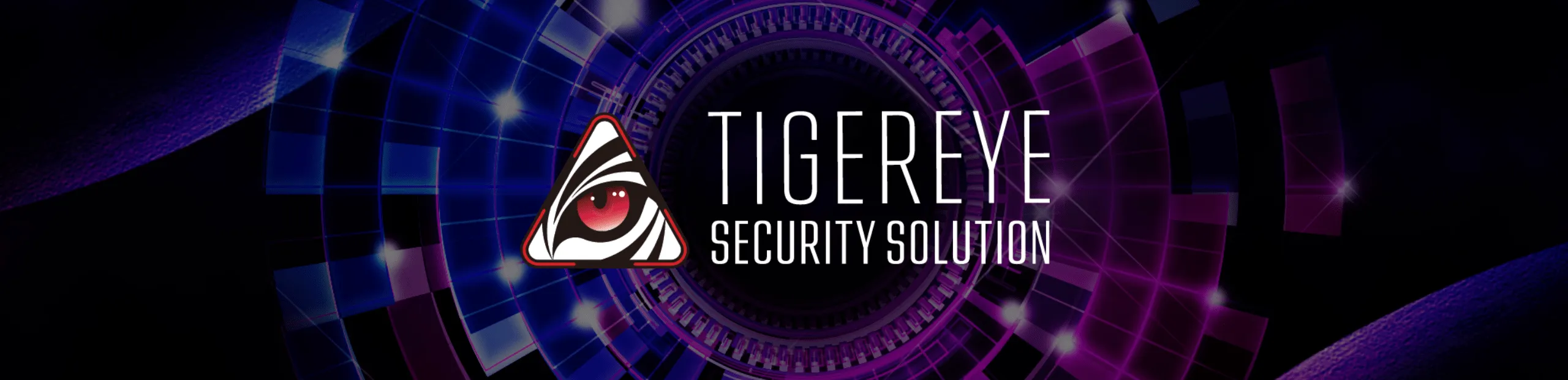 TIGEREYE SECURITY SOLUTION