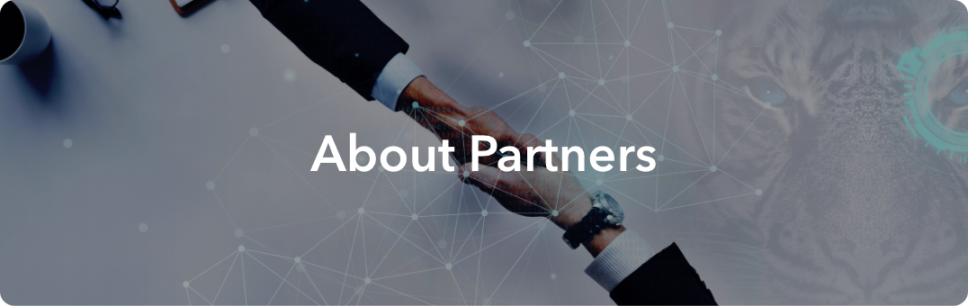 Partner system banner