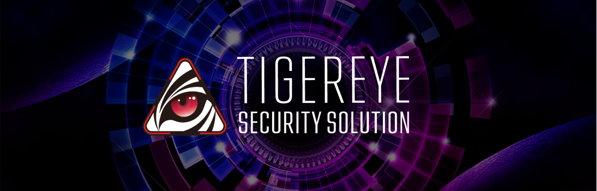 TIGEREYE SECURITY SOLUTION