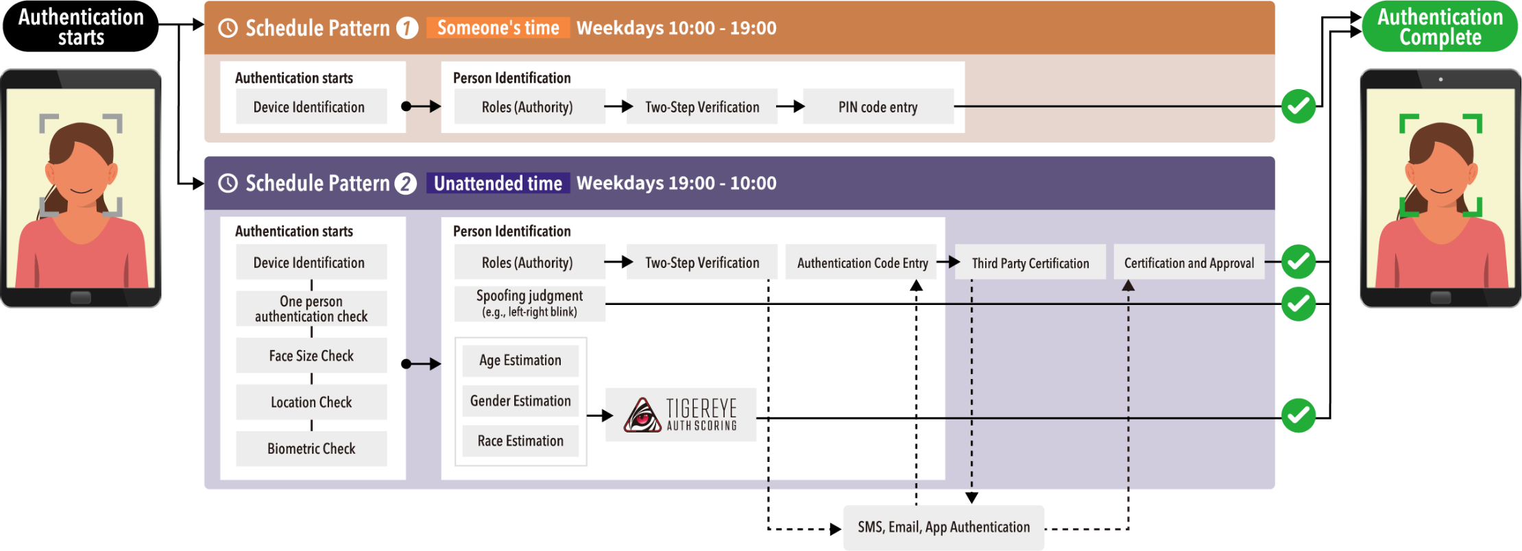 TIGEREYE SECURITY SOLUTION