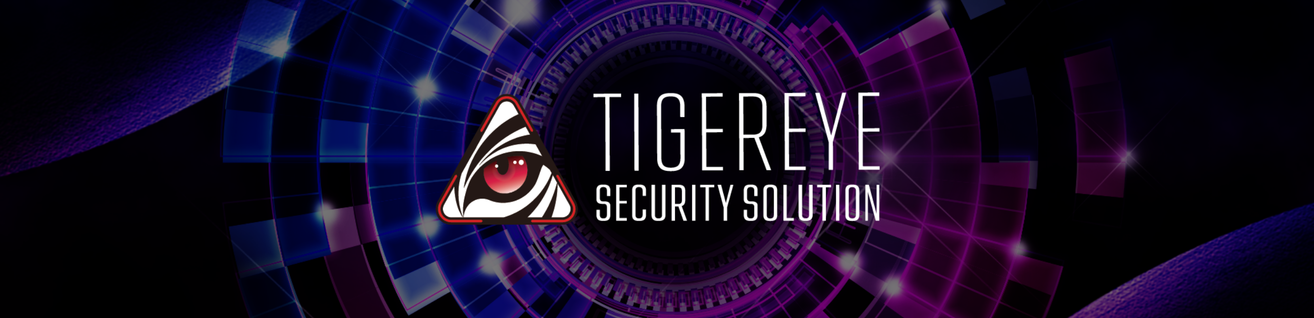 TIGEREYE SECURITY SOLUTION