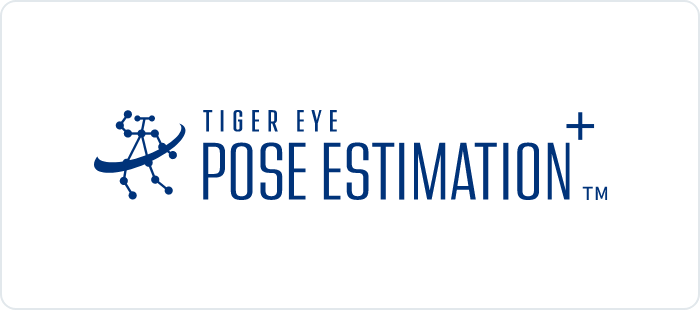 TIGEREYE POSE ESTIMATION+