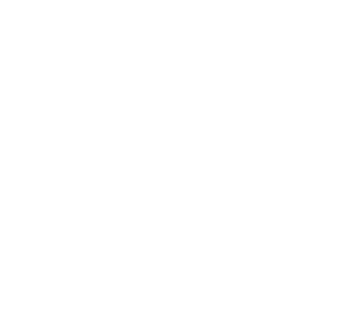 TIGER EYE SOLUTION FACE RECOGNITION+